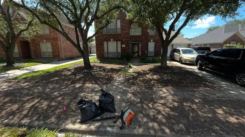 Mulch spread under front yard trees