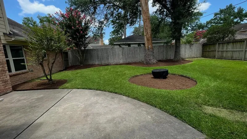 Backyard lawn with a mulch ring